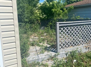 Cleanups by Steven Ambrose for Ricquel P. in Bellwood, IL