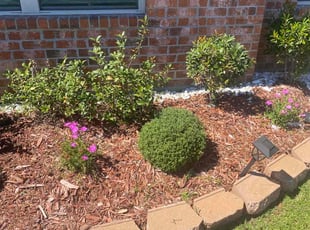 Weeding by Mekeila Morris for Reginald . in Zachary, LA