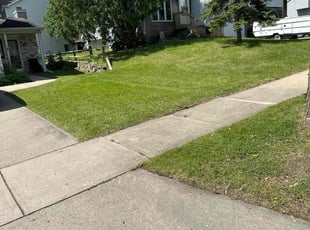 Ryan P.'s Lawn Mowing Service service result
