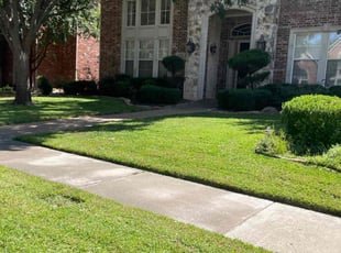 Witeh E.'s Lawn Mowing Service service result