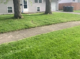 Alexandra P.'s Lawn Care service result