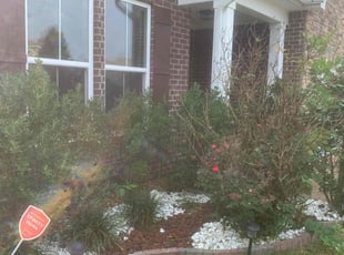 Weeding by Tucker Cool for Angeline M. in Mt. Juliet, TN