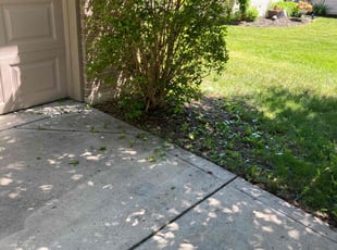 Bush Trimming by Aloric Carson for Candice N. in Avon, IN