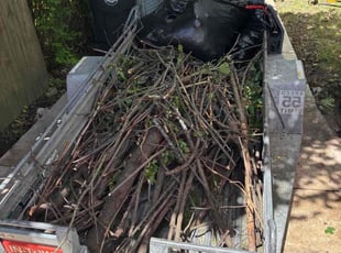 Cleanups by Seantrell Lawson for Mythal Glynn M. in Cleveland, OH