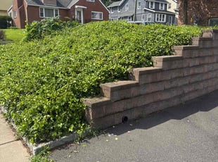 Bush Trimming by Michael Soto for Hita M. in Union, NJ