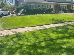 George H.'s Yard Cutting service result