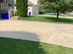 Audrey G.'s Yard Cutting service result