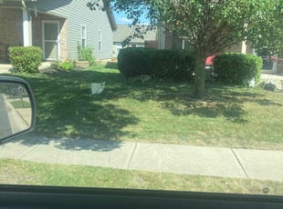 Bush Trimming by Marvin Jackson for Nicholas W. in Noblesville, IN