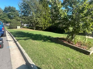 Michelle D.'s Lawn Mowing service result