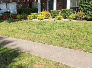 Caleb M.'s Lawn Care service result