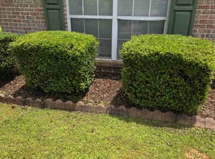 Bush Trimming by Marcus Rouse for Feborah D. in Bessemer, AL