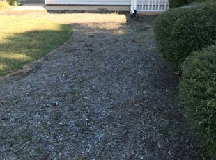 Weeding by Liam Dooley for Brooke K. in Simpsonville, SC