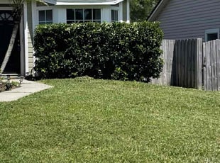Bush Trimming by Vee Primus for Zachary L. in Jacksonville, FL