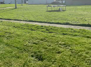 Henry L.'s Grass Cutting service result