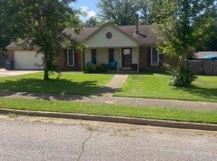 Carlos H.'s Lawn Mowing service result