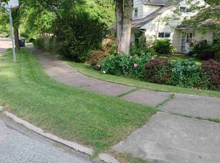 Suzanne T.'s Lawn Mowing Service service result