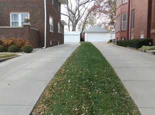 Leaf Removal by Lamonee Jackman for Julie S. in Omaha, NE