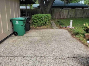 Bush Trimming by Hugo Melgar for Stephen R. in Houston, TX