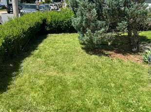 Cleanups by Monica Litho for John W. in Boston, MA