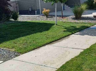 Sherri F.'s Yard Cutting service result
