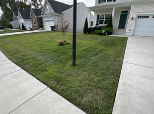 Brendon M.'s Lawn Mowing Service service result