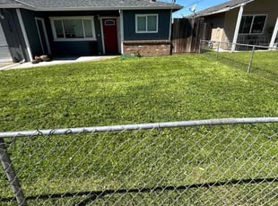 Henry W.'s Lawn Maintenance service result