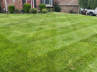 Marji G.'s Grass Cutting service result