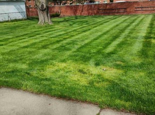 Harold B.'s Grass Cutting service result