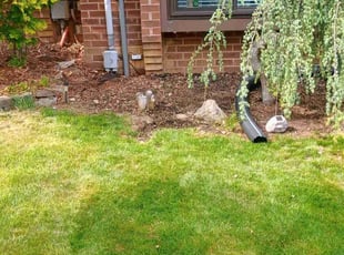 Weeding by Martin Ortiz Cortez for Abirami M. in Exton, PA
