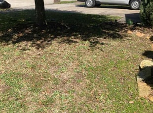 Leaf Removal by Moises Perez for Patrick L. in Baytown, TX