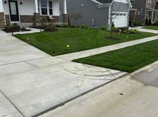 Nicholas W.'s Lawn Care service result