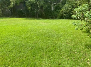 Bert C.'s Lawn Service service result