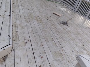 Cleanups by Giovanni HErnandez for Patrick G. in Waldorf, MD