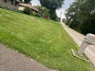 Paula S.'s Yard Cutting service result