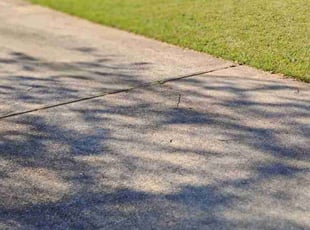 Alex R.'s Lawn Maintenance service result