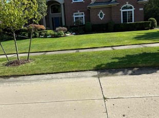Brad W.'s Lawn Service service result