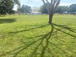 Debi G.'s Lawn Maintenance service result
