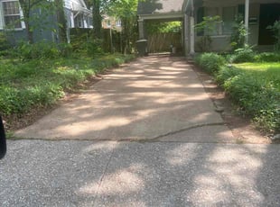 Laquita W.'s Leaf Removal service result