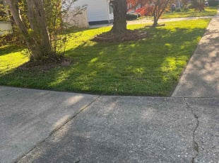 Samantha P.'s Lawn Mowing service result