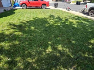 John C.'s Lawn Service service result