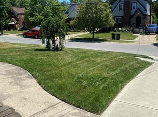 Michael W.'s Lawn Mowing service result