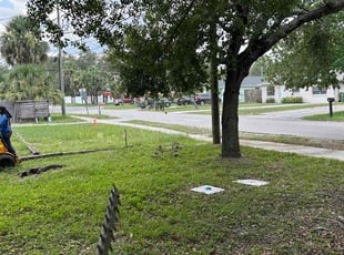 Bush Trimming by Feliciano Perez for Violeta G. in Tampa, FL