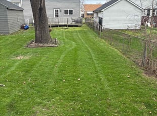 Linda H.'s Lawn Care service result