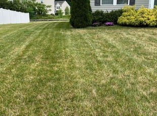 Mark S.'s Lawn Service service result