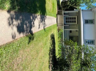 Guadalupe L.'s Grass Cutting service result