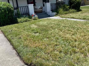 Cleanups by Jim Jones IV for Michael B. in Tampa, FL