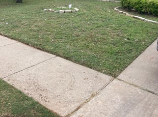 Cleanups by Emma Perales for Ashley A. in Fort Worth, TX