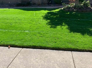 Hanan H.'s Lawn Service service result