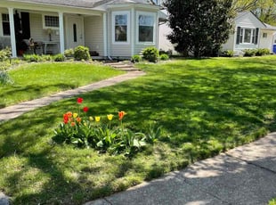 Sharon S.'s Lawn Mowing service result
