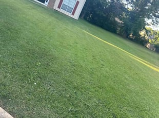 Irene B.'s Lawn Mowing service result